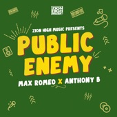 Anthony B - Public Enemy