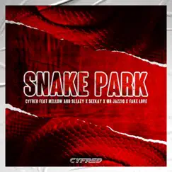 Snake Park (feat. Mellow, Sleazy, Mr JazziQ, Seekay & Fake Love) Song Lyrics