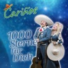 1000 Sterne für Dich - Single