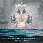 Namah Shivaya (feat. Vijay Krsna) artwork