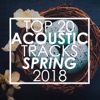 Top 20 Acoustic Tracks Spring 2018 (Instrumental)