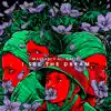 I See The Dream (Badna Salam) [feat. Ali Gatie] - Single album lyrics, reviews, download