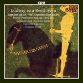 Egmont, Op. 84 (Adapted S. Knies): VII. Clärchens Tod bezeichnend artwork
