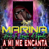 Marina a Ti Te Gusta El Tequila a Mi Me Encanta artwork