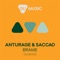 Brame (S-Lap Afterhours Remix) - Anturage & Saccao lyrics