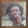 Spear Burning Burning Spear, 2001