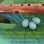 NATIVE AMERICAN FLUTES & SOUNDS OF NATURE (Relaxing Native American Flute & Nature Sounds for Massage, Sleep, Spas & Yoga)