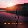 Entre ce que j'dis... - Single