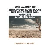 YOU WALKED UP SHAKING IN YOUR BOOTS BUT YOU STOOD TALL AND LEFT A RAGING BULL artwork