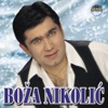 Boža Nikolić, 2000