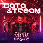 The Data Stream (feat. Cami-Cat) artwork
