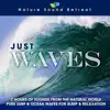 Just Waves: 2 Hours of Sounds from the Natural World (Pure Surf & Ocean Waves for Sleep & Relaxation) album lyrics, reviews, download