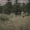 Endless (feat. The Knocks) - Shallou lyrics