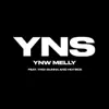 Yung N***a Shit (feat. YNW Gunna & Hotboii) - Single album lyrics, reviews, download