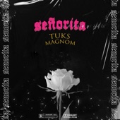 Senorita artwork