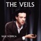 Pan - The Veils lyrics