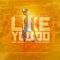 Like You Do (feat. Mitch James) - Jeff Texa$ lyrics