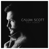 Album Dancing On My Own (Tiësto Remix) [feat. Tiësto] - Calum Scott