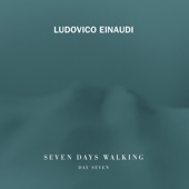 Ludovico Einaudi - Gravity - Day 7