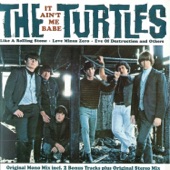 The Turtles - We'll Meet Again (Single Version)