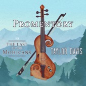 Promentory (from "the Last of the Mohicans") artwork