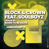 Born to Be Alive (feat. The Soulboyz) artwork