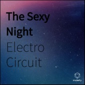 The Sexy Night artwork