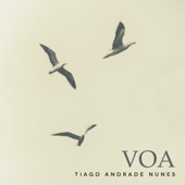 Voa artwork