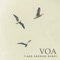 Voa artwork