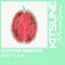 Don't Care - Carter Reeves lyrics