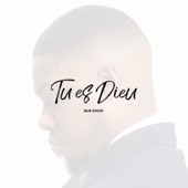 Tu es Dieu artwork