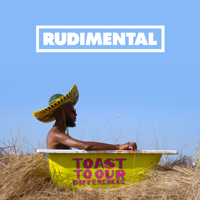 Rudimental - Toast to our Differences (Deluxe) artwork