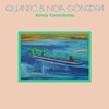 Quantic - Vuelve