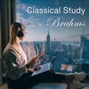 Tamás Vásáry, London Symphony Orchestra & Yuri Ahronovitch - Horn Trio in E-Flat, Op. 40: 2. Scherzo (Allegro)
