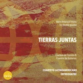 Tierras Juntas artwork