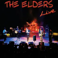 The Best Crowd We Ever Had by The Elders album reviews, ratings, credits