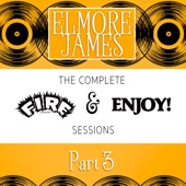 Elmore James - Talk to Me Baby