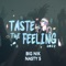 Taste the Feeling 2022 - big nik & Nasty s lyrics