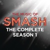 SMASH - The Complete Season One