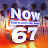 Various Artists - Now That's What I Call Music Vol. 67  artwork