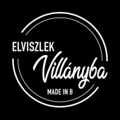 Elviszlek Villányba artwork