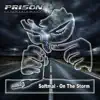 On the Storm - Single album lyrics, reviews, download