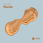 Flipside artwork