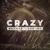 Crazy (feat. Dub Inc) artwork