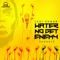 Water No Get Enemy (feat. Gbemiga, Sean Winters & Olaitan Adebowale) [cover] artwork