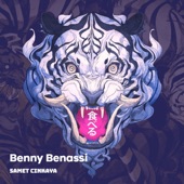 Benny Benassi artwork
