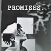 Promises. (feat. Camel) - Single album lyrics, reviews, download