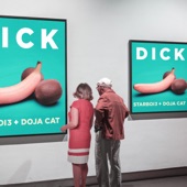 Dick (feat. Doja Cat) artwork
