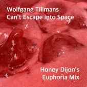 Can't Escape into Space (Honey Dijon's Euphoria Mix) artwork