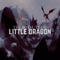 Little Dragon - The Royal Tease lyrics